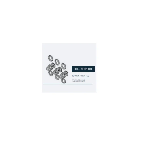 Комплект клапанов насоса Mazzoni GMX, P9.001.009